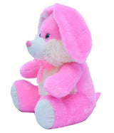 Dintanno Rabbit Stuffed Animal